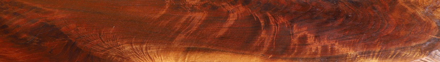 George Nakashima’s Harmonies in Wood